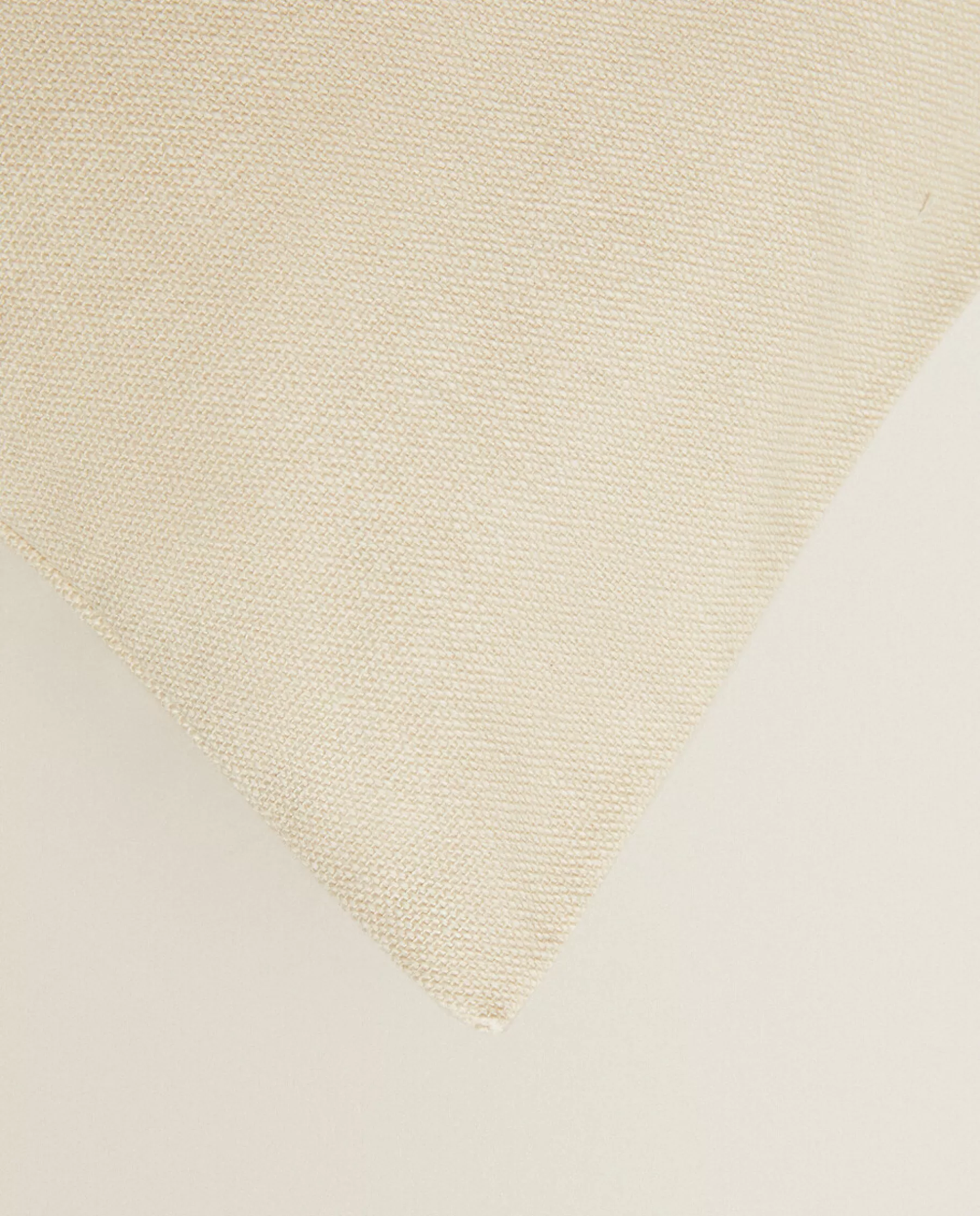 ZARA Home Throw Pillow Cover | Solid